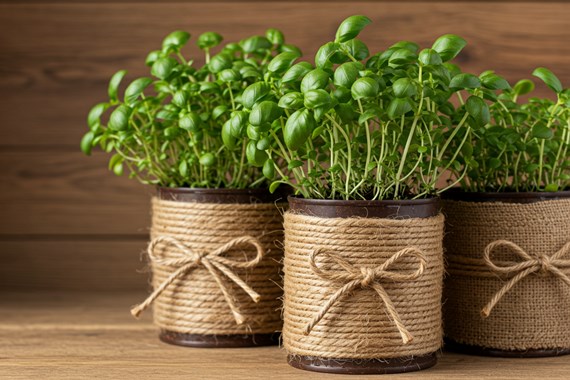 diy-saksi-fikirleri.jpg